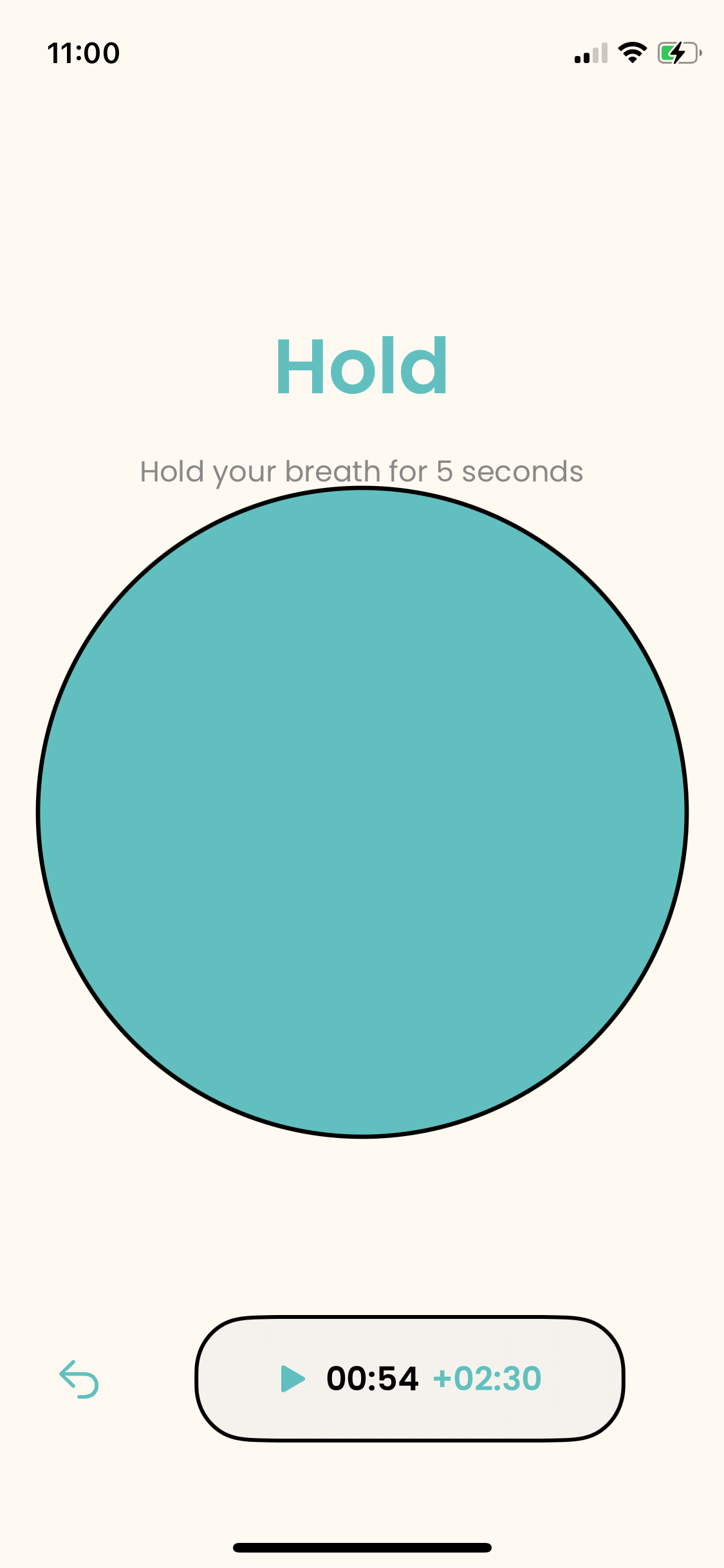 App Shield Screen